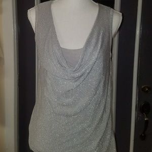 Silver Blouse